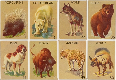 1930s R15-2 Schranz & Beiber "Animals" Complete Set (54)